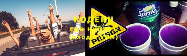 индика Абаза
