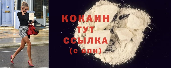 индика Абаза