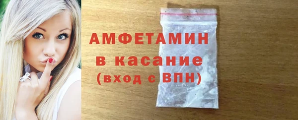 индика Абаза