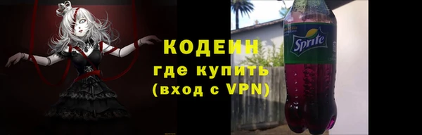 индика Абаза