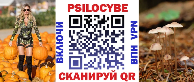Псилоцибиновые грибы Psilocybine cubensis где найти Кяхта