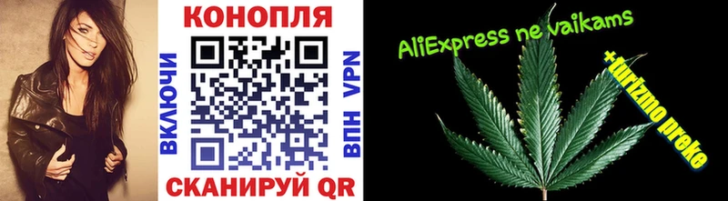 Бошки Шишки конопля Кяхта
